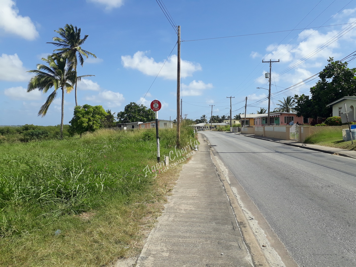 Top 10 Tips for Buying Land Barbados Land For Sale