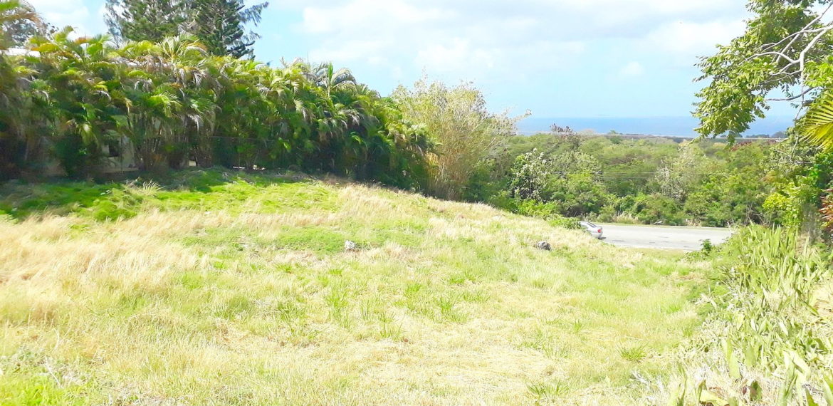 Barbados Land For Sale View Listings of Barbados Real Estate