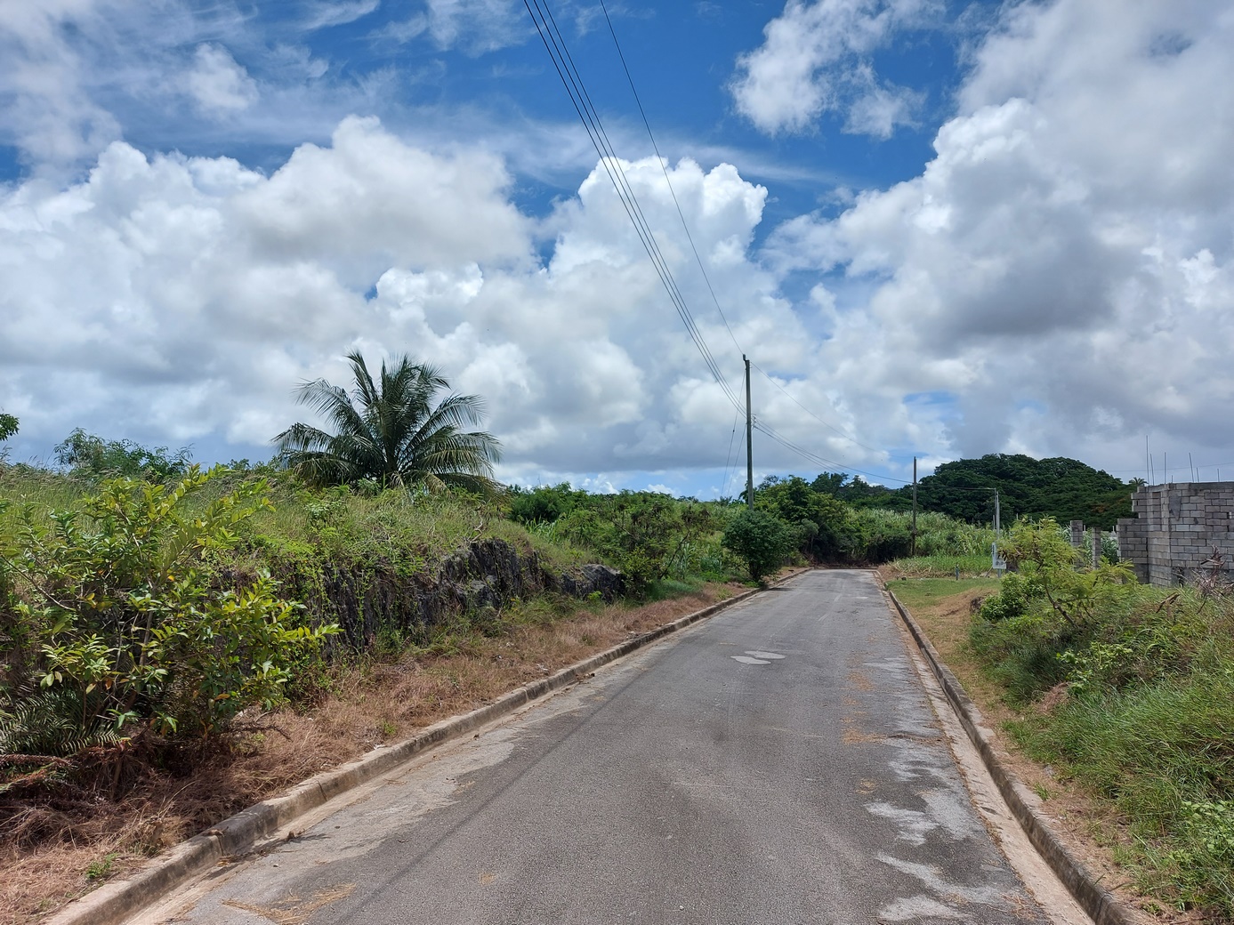 Hillside Gardens 20 Barbados Land For Sale