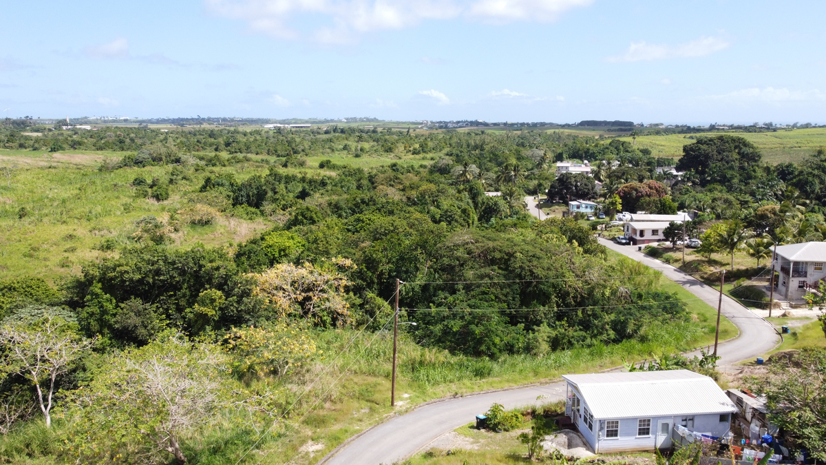 Woodland Tenantry Barbados Land For Sale