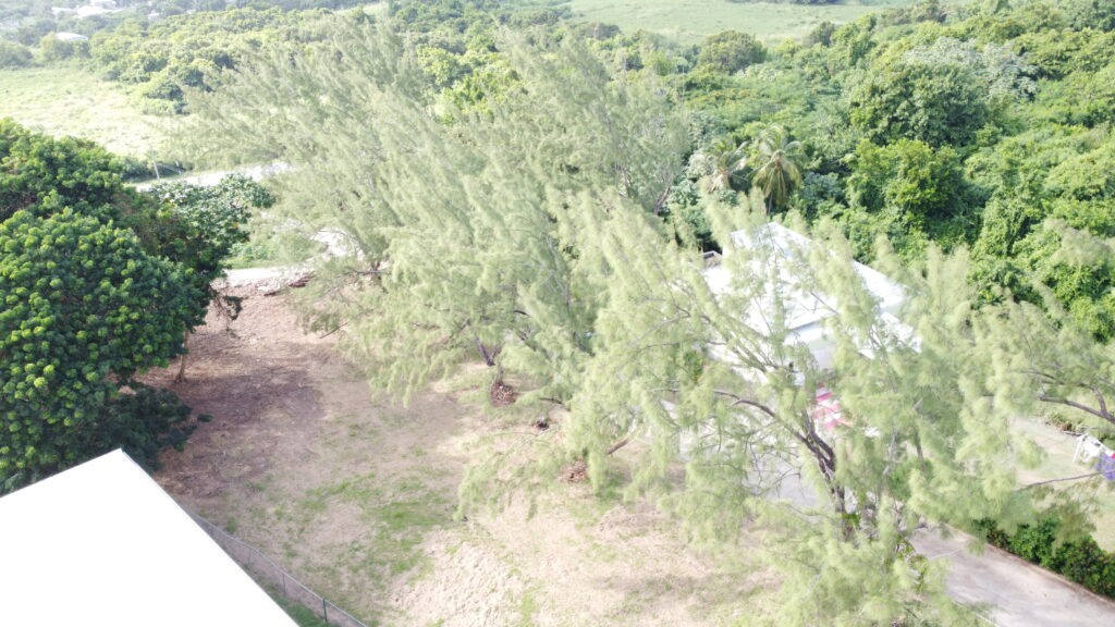 White Hall Barbados Land For Sale