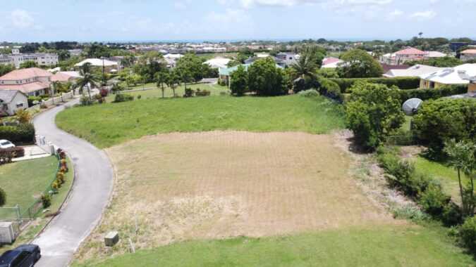 DJI_0222